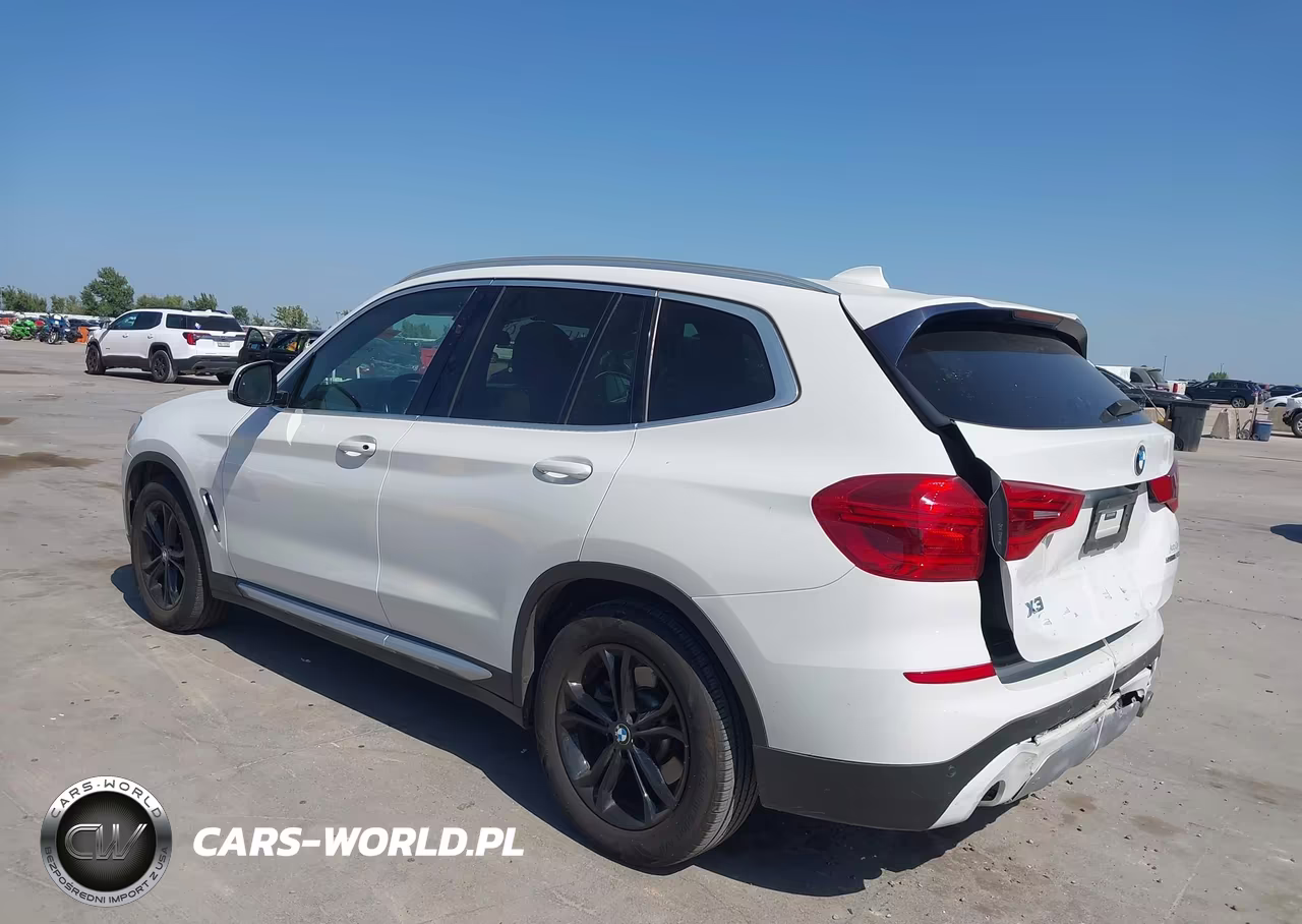 2019 BMW X3 Sdrive30I VIN:5UXTR7C51KLR53318 - 3