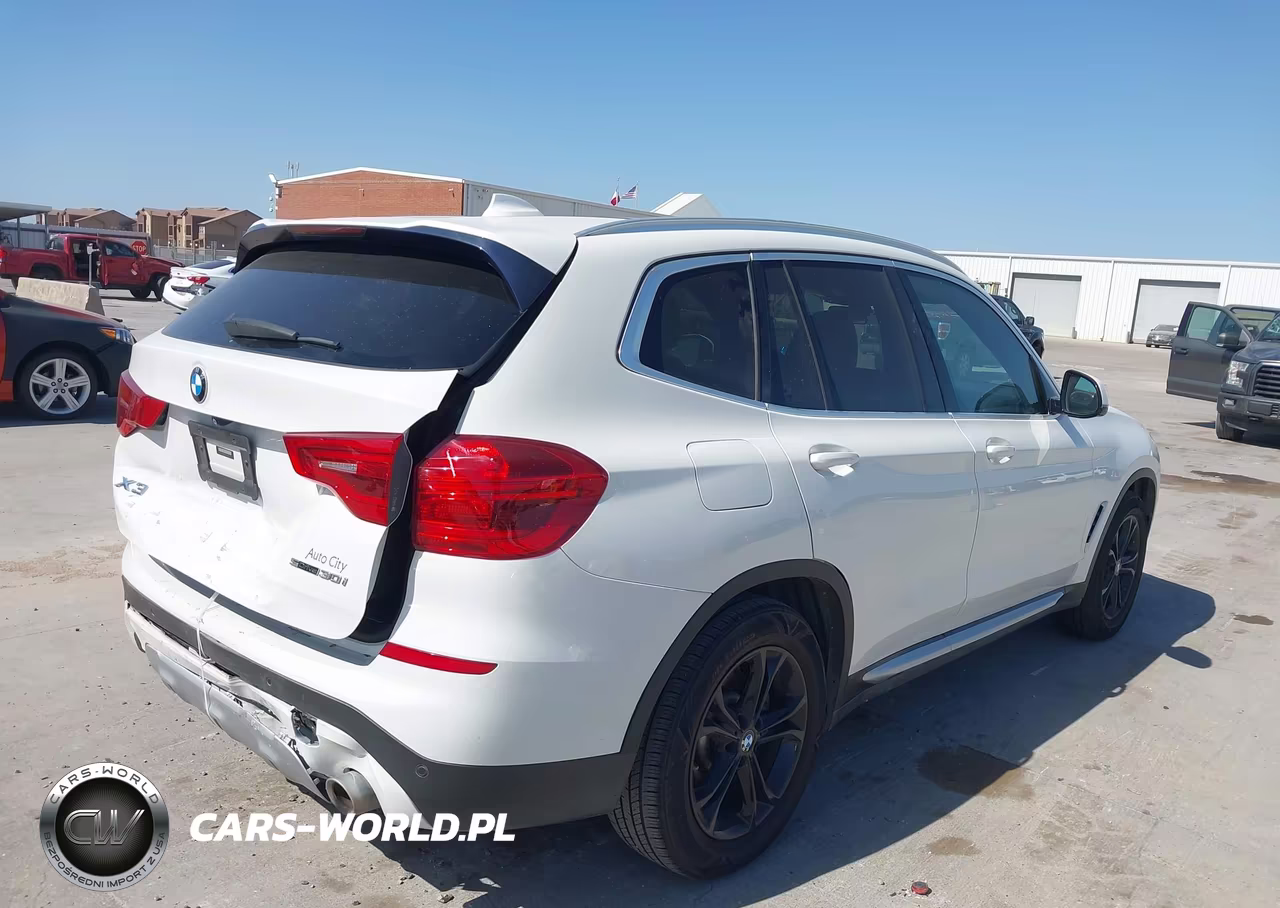 2019 BMW X3 Sdrive30I VIN:5UXTR7C51KLR53318 - 4