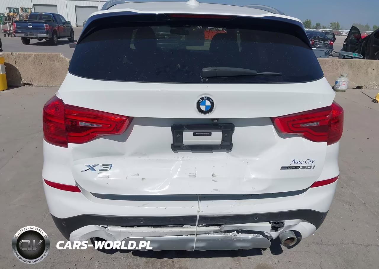 2019 BMW X3 Sdrive30I VIN:5UXTR7C51KLR53318 - 6