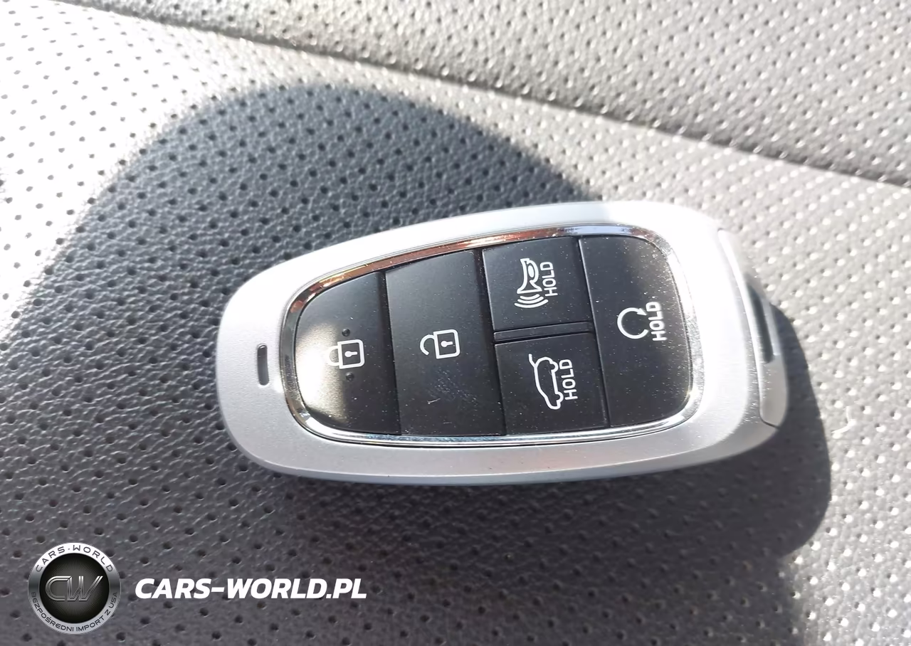 2023 Hyundai Santa Fe Hybrid Sel Premium VIN:5NMS3DA16PH000450 - 11