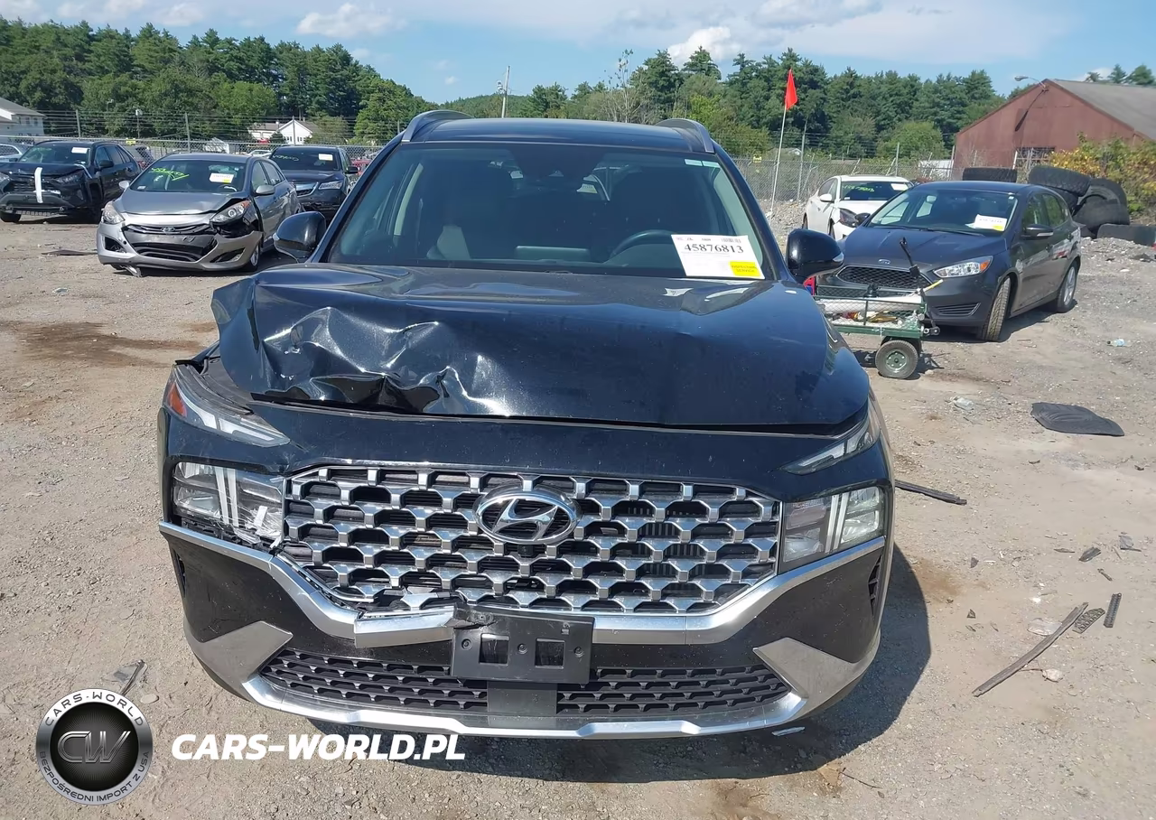 2023 Hyundai Santa Fe Hybrid Sel Premium VIN:5NMS3DA16PH000450 - 13