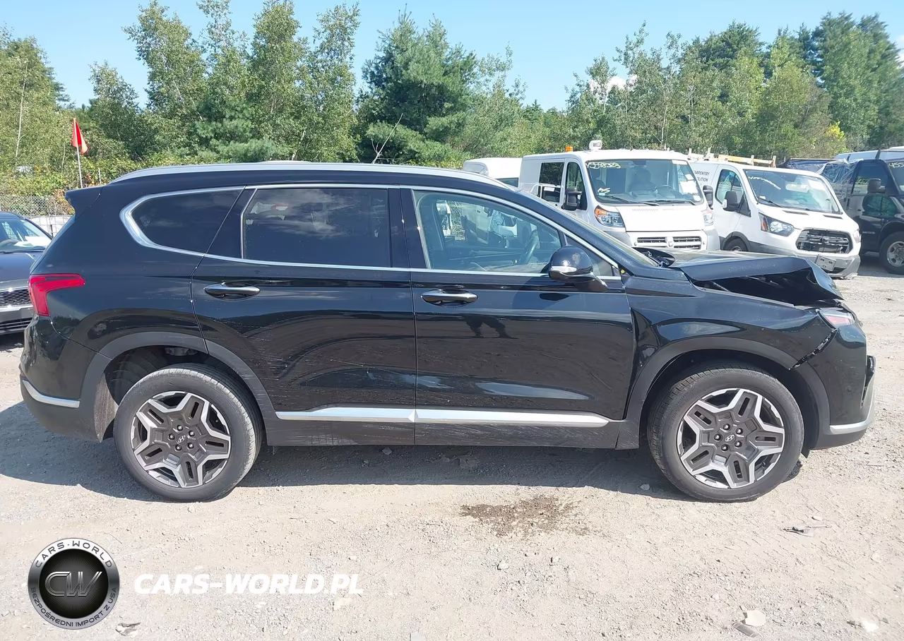 2023 Hyundai Santa Fe Hybrid Sel Premium VIN:5NMS3DA16PH000450 - 14