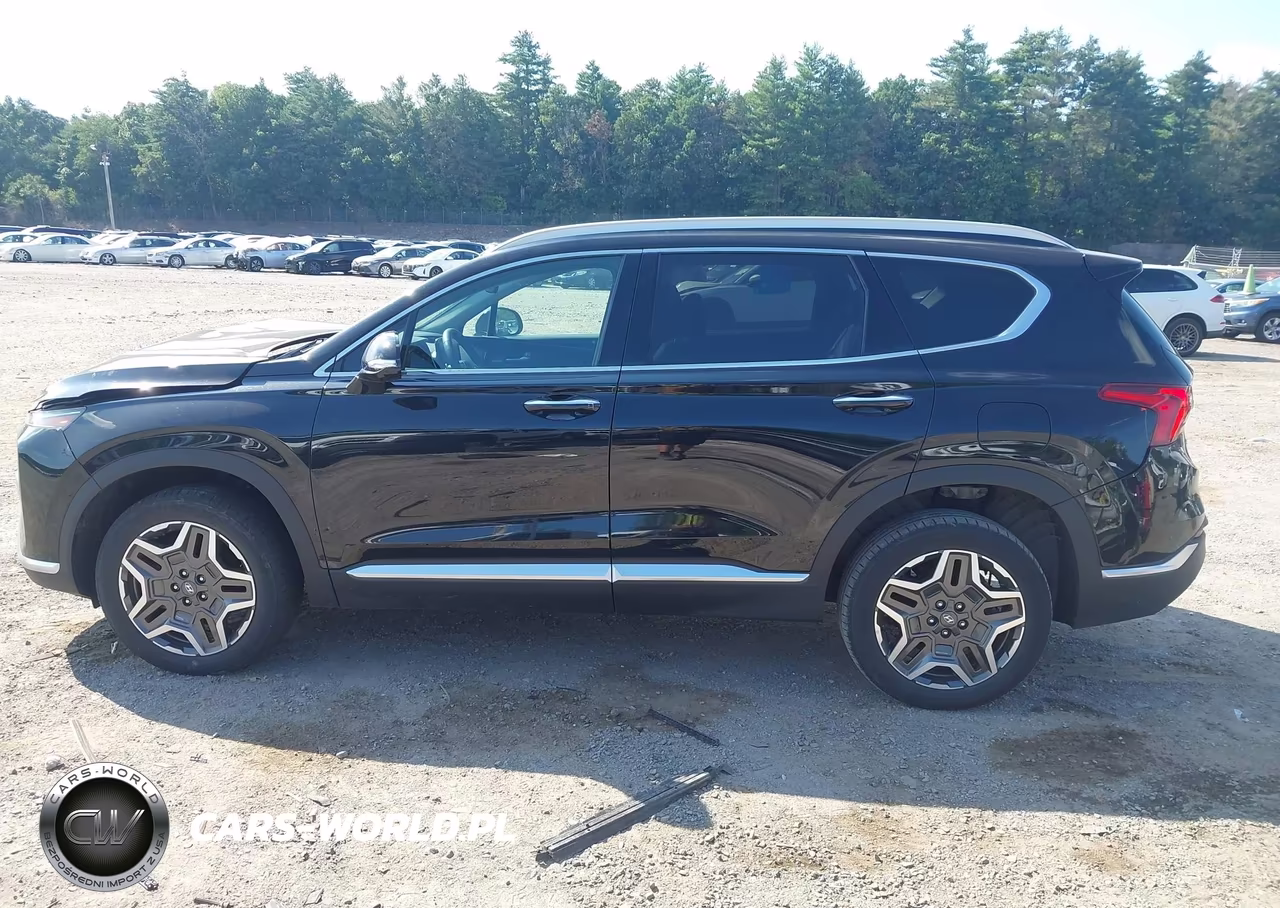 2023 Hyundai Santa Fe Hybrid Sel Premium VIN:5NMS3DA16PH000450 - 15