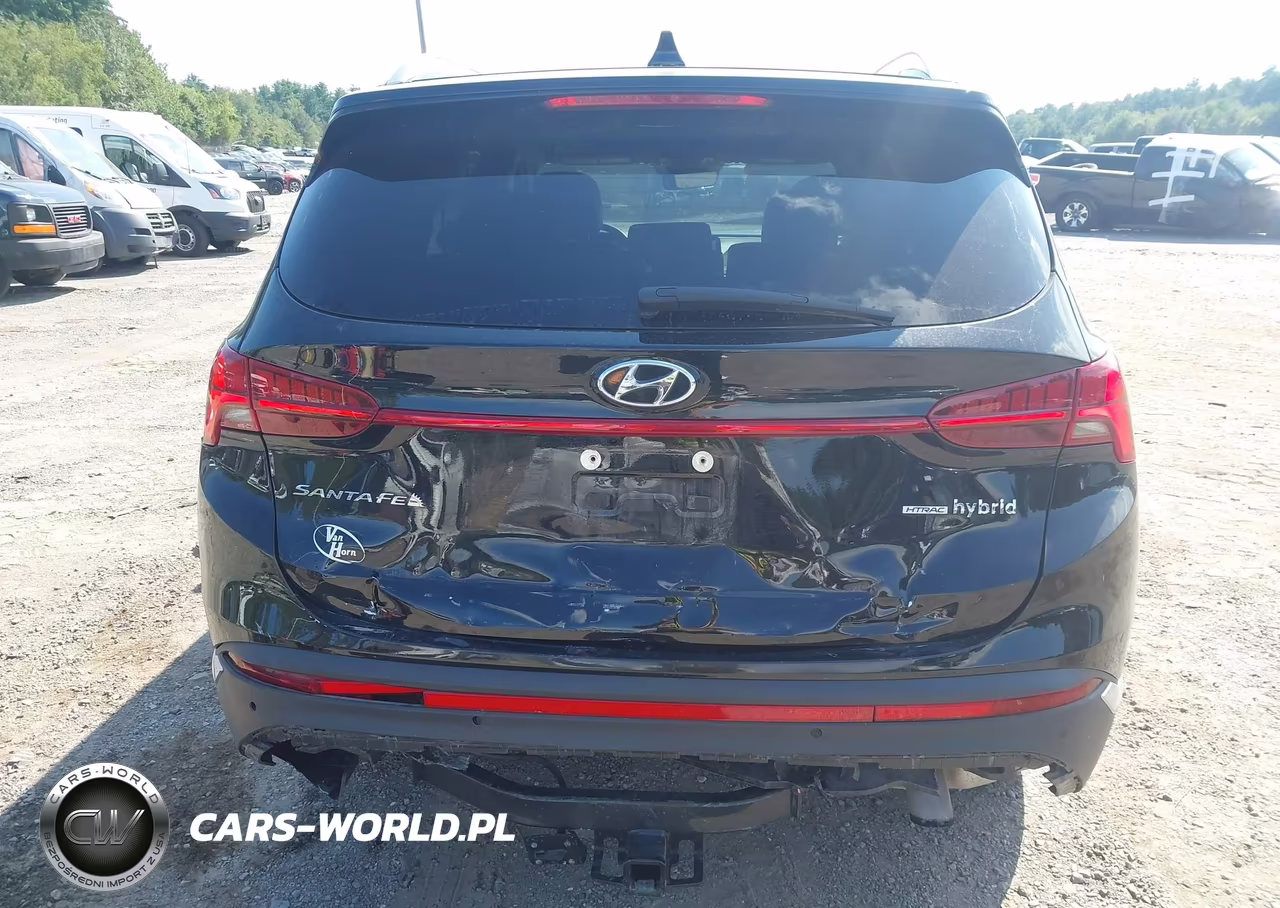 2023 Hyundai Santa Fe Hybrid Sel Premium VIN:5NMS3DA16PH000450 - 17