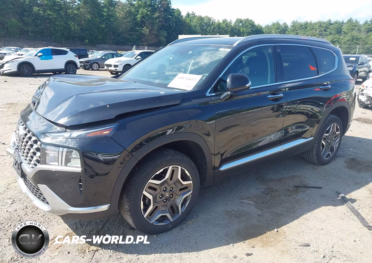 2023 Hyundai Santa Fe Hybrid Sel Premium VIN:5NMS3DA16PH000450 - 2