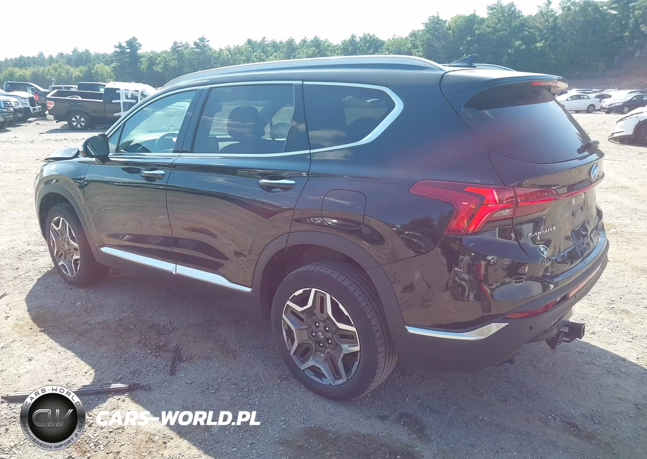 2023 Hyundai Santa Fe Hybrid Sel Premium VIN:5NMS3DA16PH000450 - 3