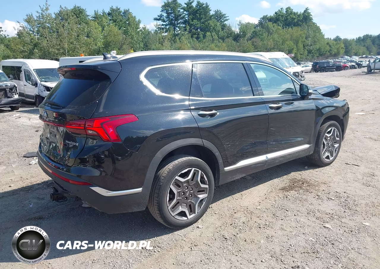 2023 Hyundai Santa Fe Hybrid Sel Premium VIN:5NMS3DA16PH000450 - 4