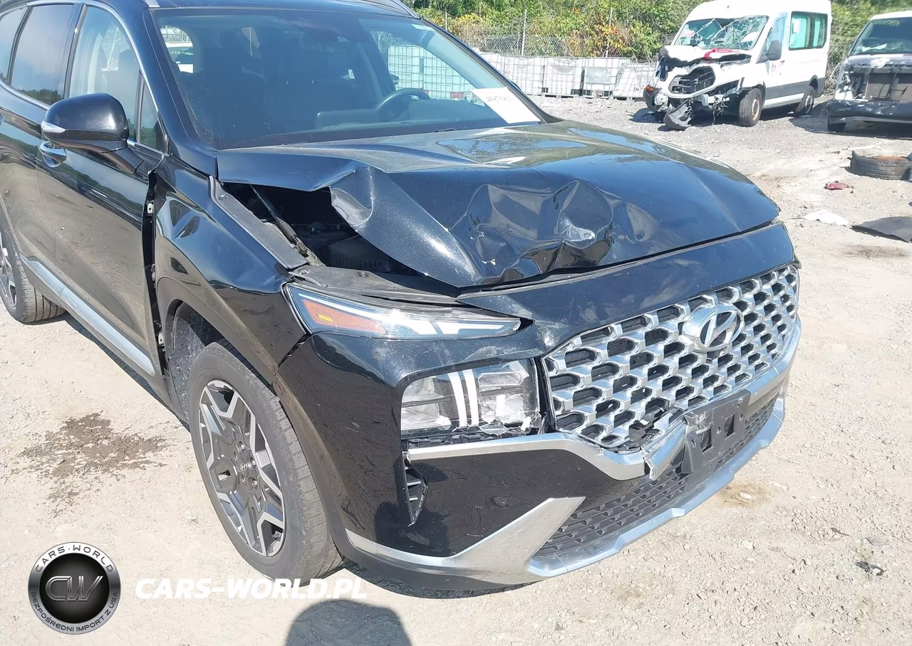 2023 Hyundai Santa Fe Hybrid Sel Premium VIN:5NMS3DA16PH000450 - 6