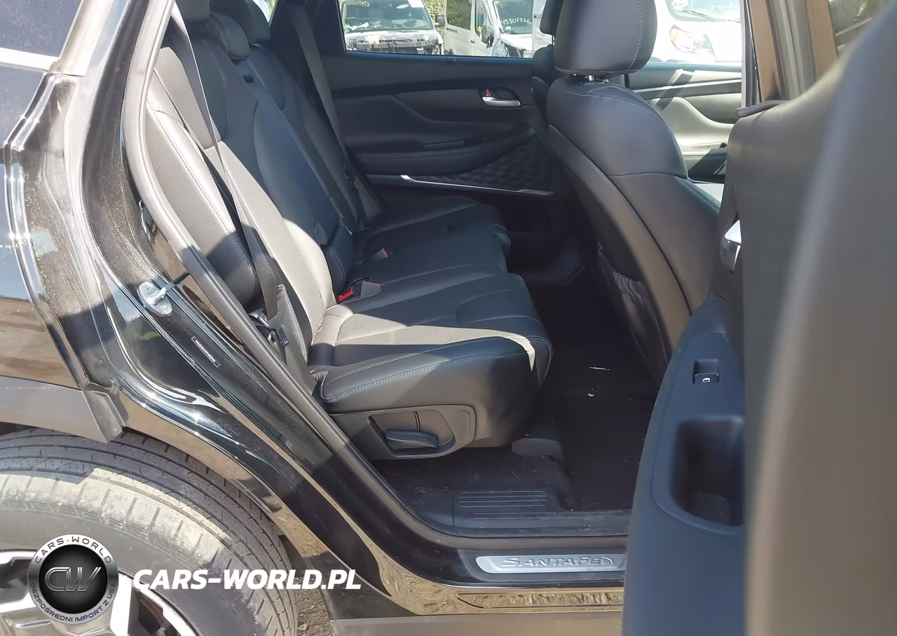 2023 Hyundai Santa Fe Hybrid Sel Premium VIN:5NMS3DA16PH000450 - 8