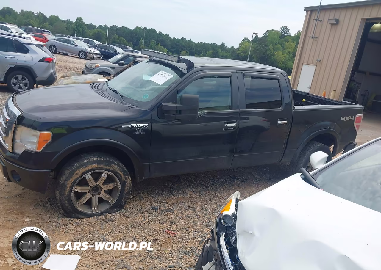 2010 Ford F-150 Fx4-Harley-Davidson-King Ranch-Lariat-Platinum-Xl-Xlt VIN:1FTFW1EV5AFA15577 - 14