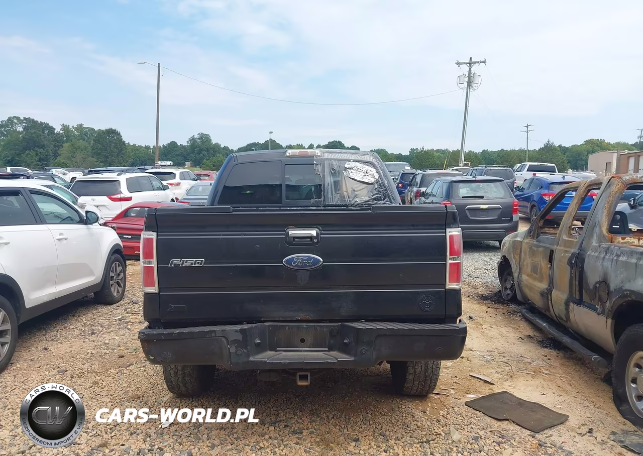 2010 Ford F-150 Fx4-Harley-Davidson-King Ranch-Lariat-Platinum-Xl-Xlt VIN:1FTFW1EV5AFA15577 - 16
