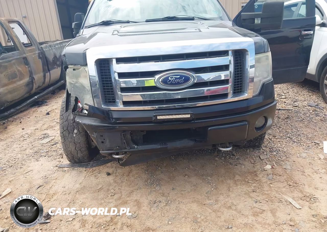 2010 Ford F-150 Fx4-Harley-Davidson-King Ranch-Lariat-Platinum-Xl-Xlt VIN:1FTFW1EV5AFA15577 - 6