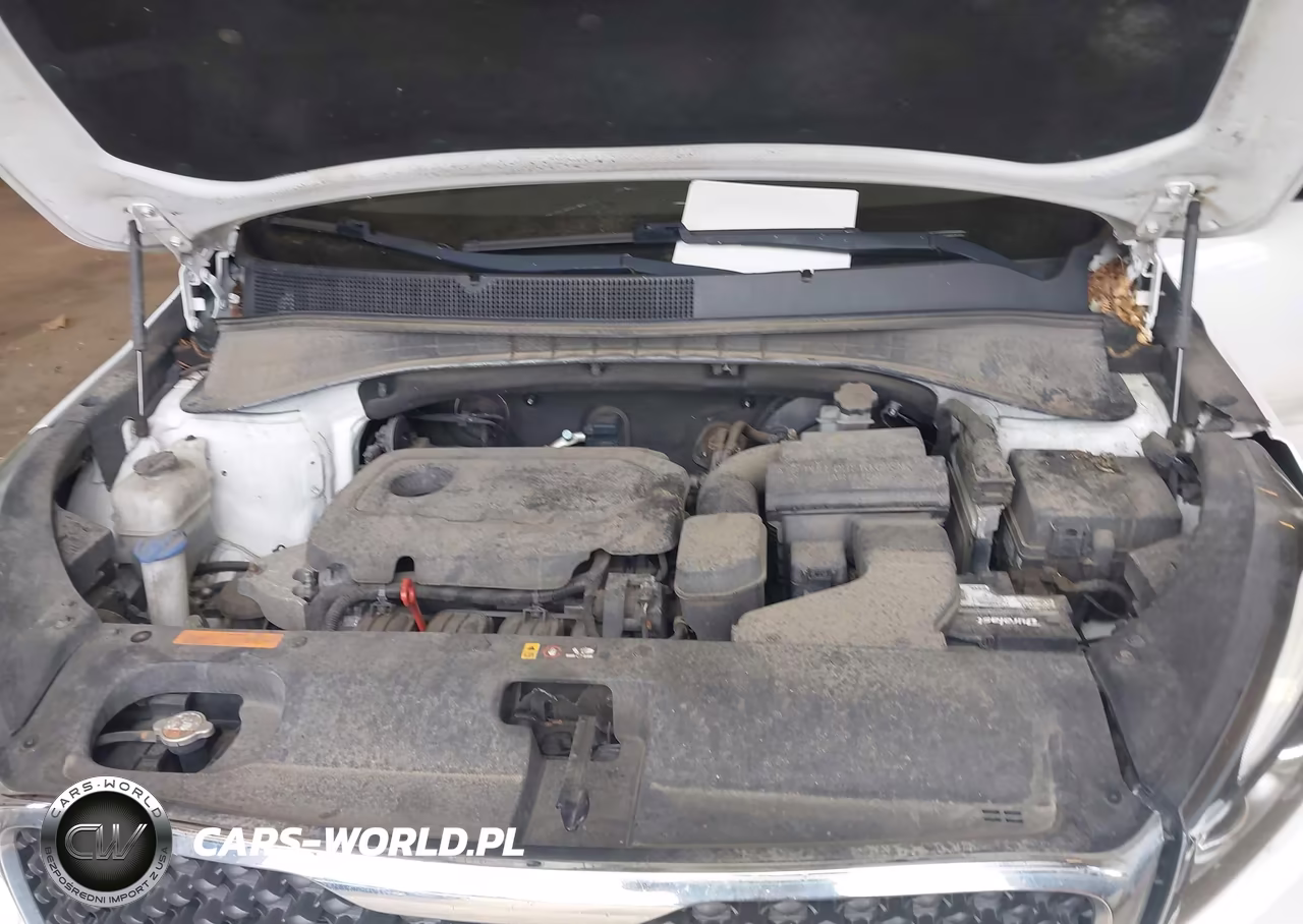 2017 Kia Sorento 2.4L Lx VIN:5XYPGDA34HG265231 - 10