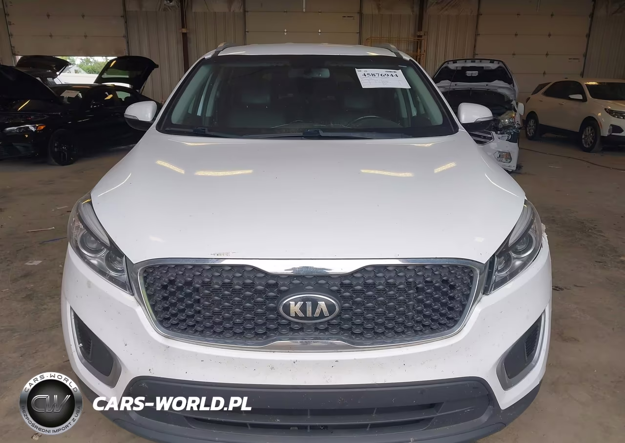 2017 Kia Sorento 2.4L Lx VIN:5XYPGDA34HG265231 - 12