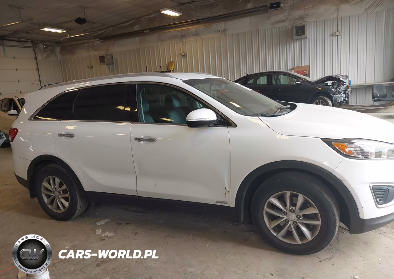 2017 Kia Sorento 2.4L Lx VIN:5XYPGDA34HG265231 - 13