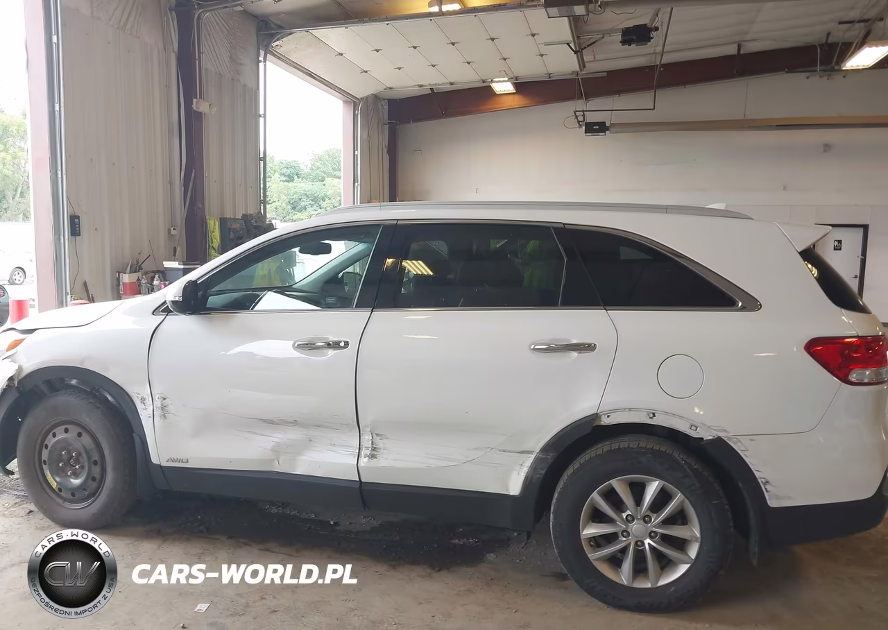2017 Kia Sorento 2.4L Lx VIN:5XYPGDA34HG265231 - 14