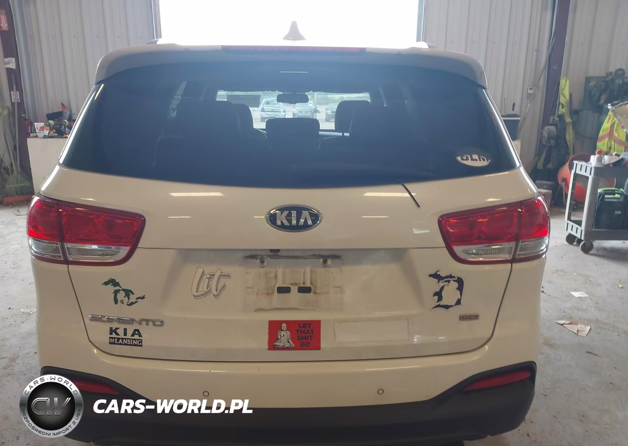 2017 Kia Sorento 2.4L Lx VIN:5XYPGDA34HG265231 - 16