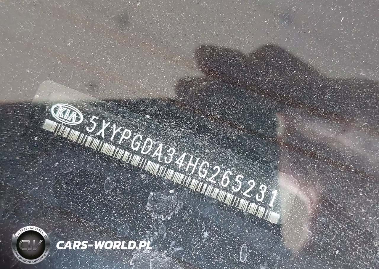 2017 Kia Sorento 2.4L Lx VIN:5XYPGDA34HG265231 - 9