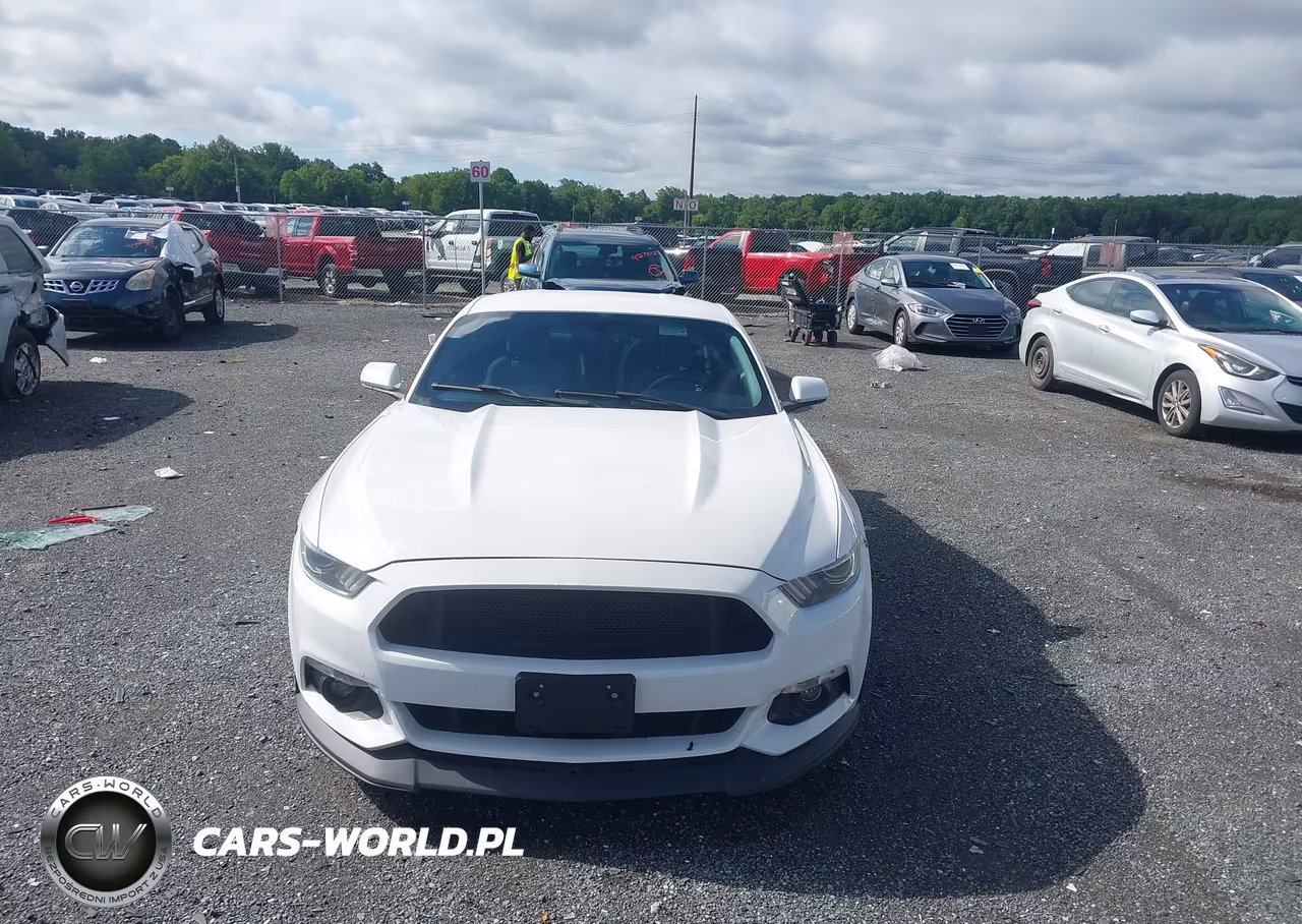 2017 Ford Mustang Ecoboost VIN:1FA6P8TH9H5238195 - 12