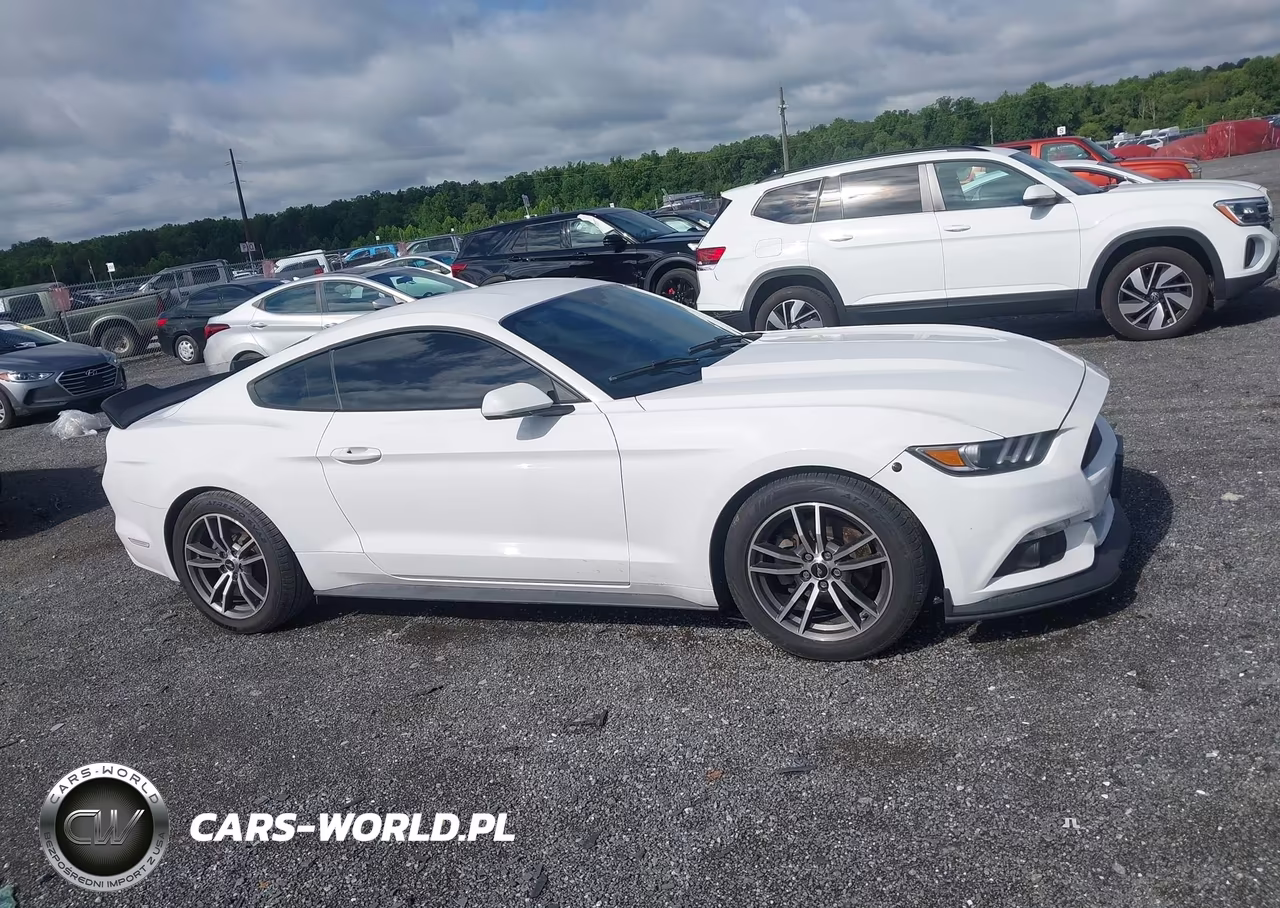 2017 Ford Mustang Ecoboost VIN:1FA6P8TH9H5238195 - 13