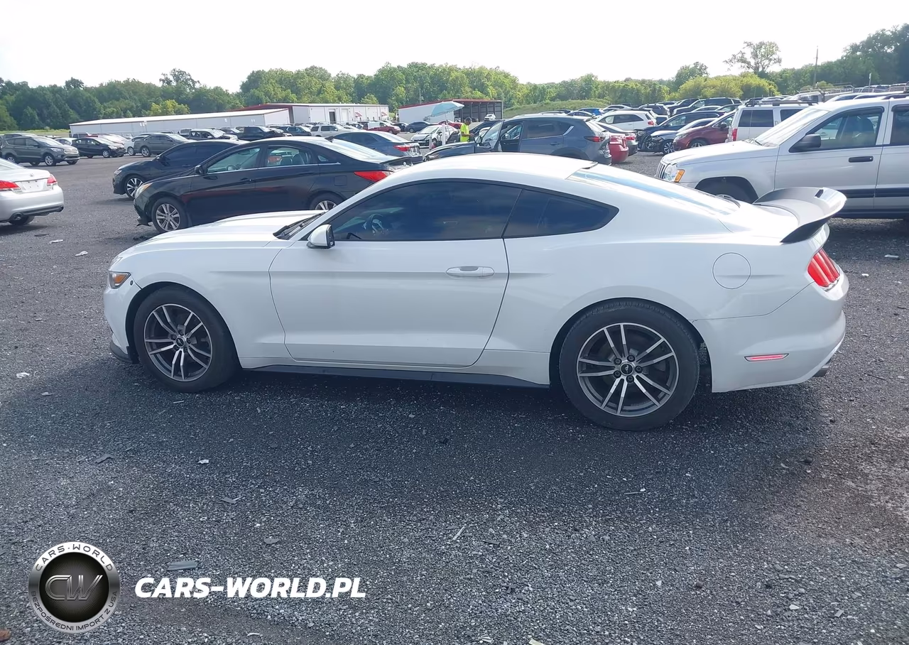 2017 Ford Mustang Ecoboost VIN:1FA6P8TH9H5238195 - 14