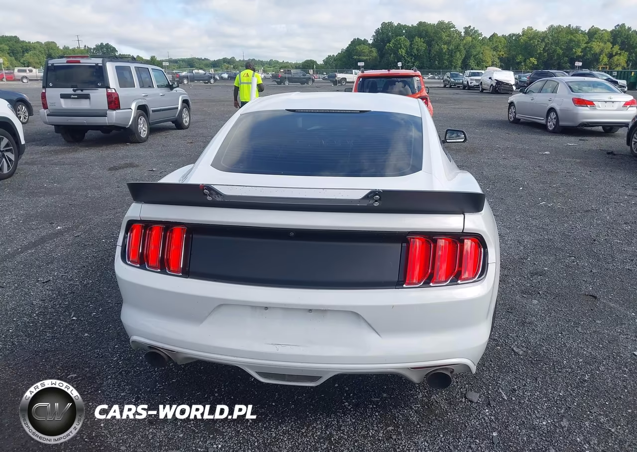 2017 Ford Mustang Ecoboost VIN:1FA6P8TH9H5238195 - 16