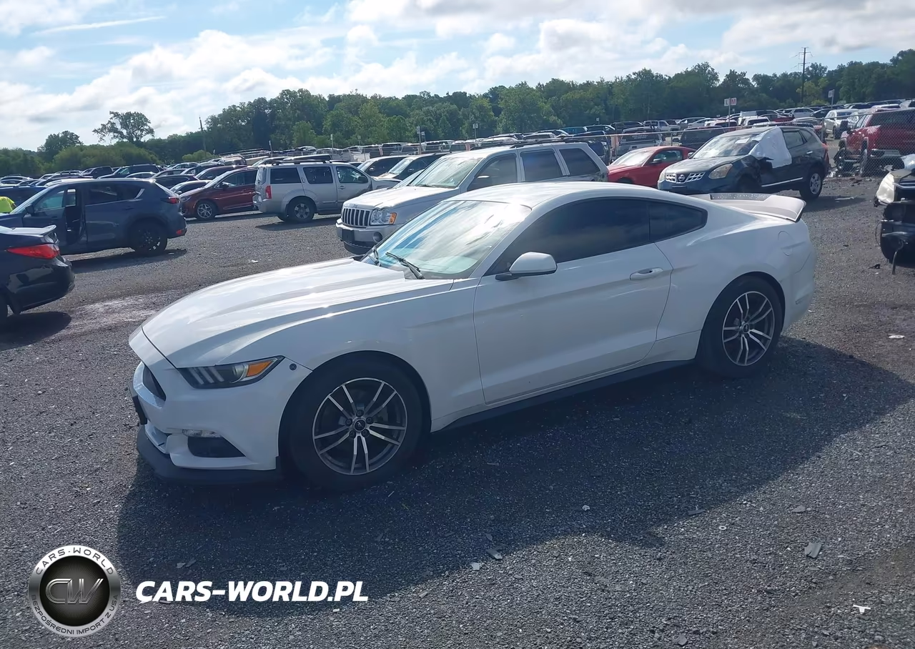 2017 Ford Mustang Ecoboost VIN:1FA6P8TH9H5238195 - 2