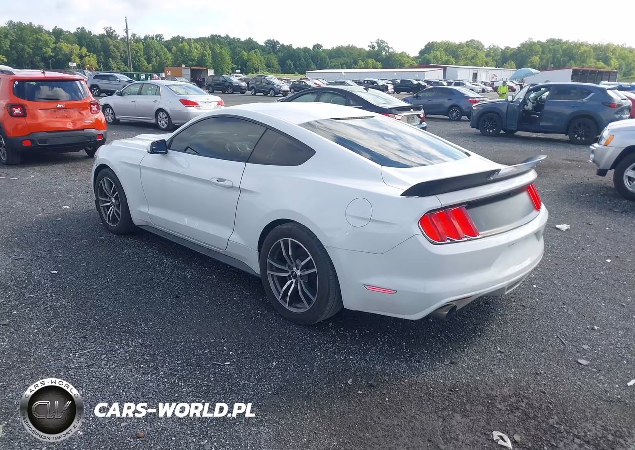 2017 Ford Mustang Ecoboost VIN:1FA6P8TH9H5238195 - 3