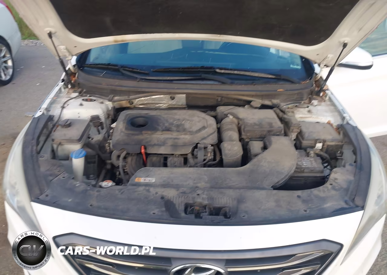 2016 Hyundai Sonata Sport VIN:5NPE34AF3GH269551 - 10