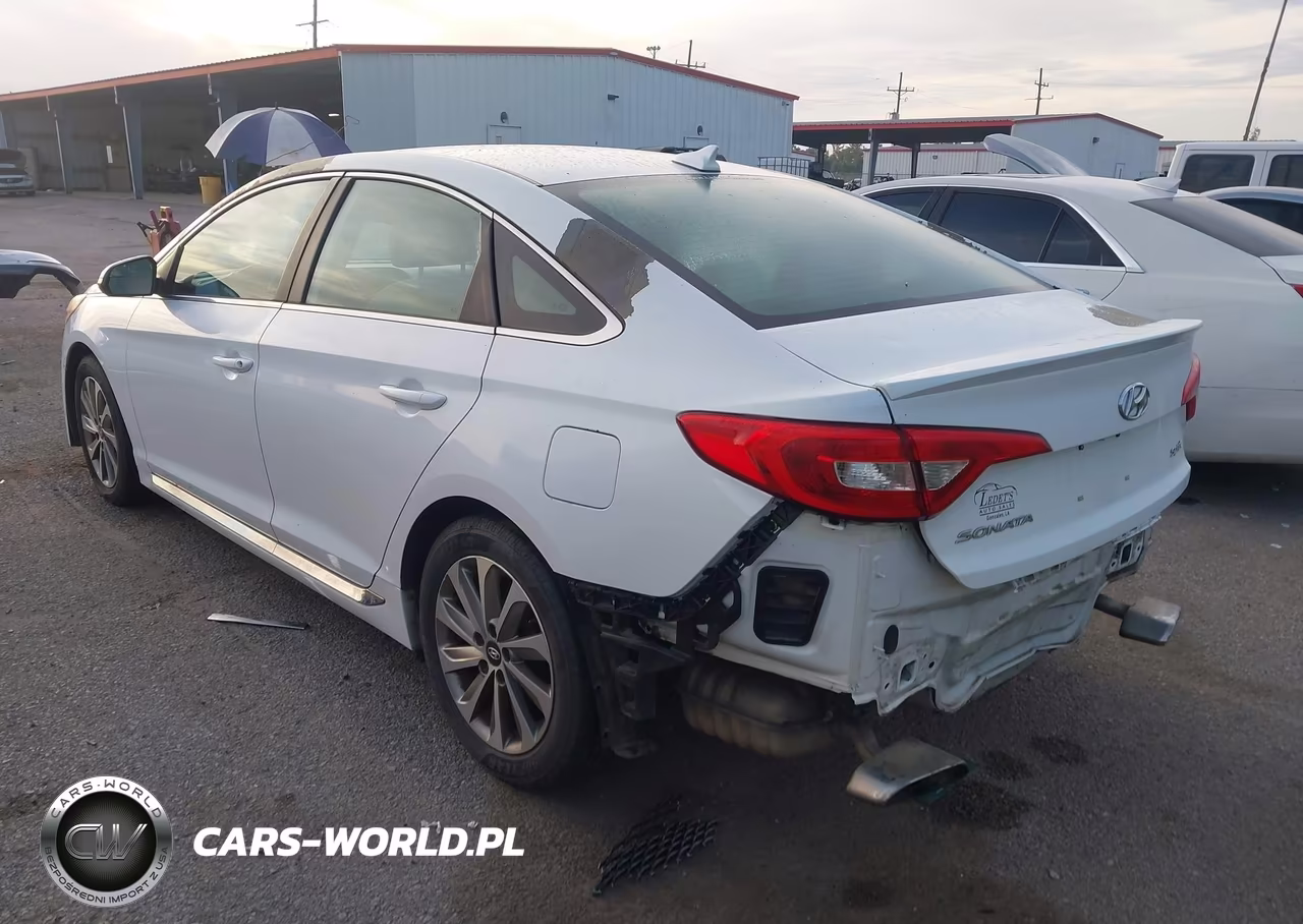 2016 Hyundai Sonata Sport VIN:5NPE34AF3GH269551 - 3