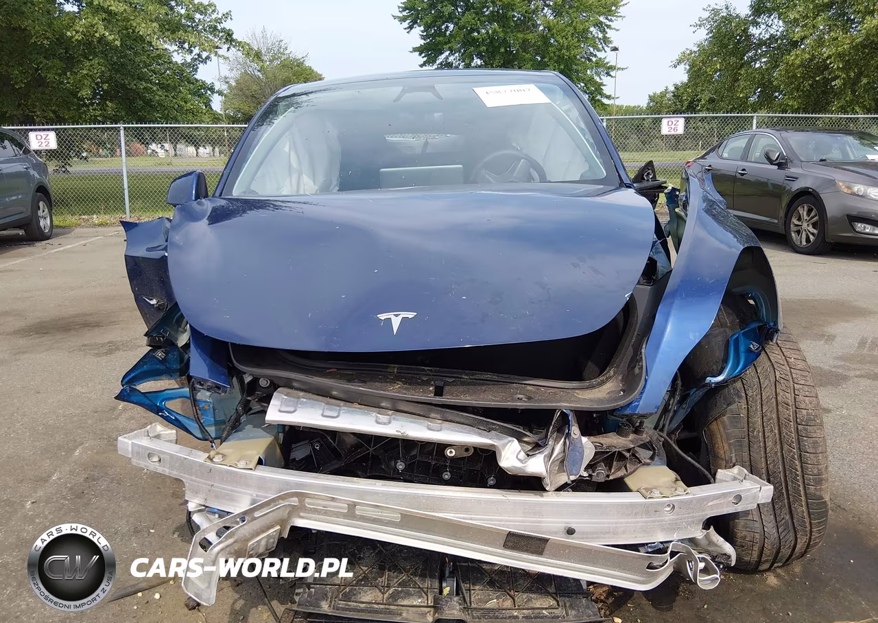 2024 Tesla Model Y Performance Dual Motor All-Wheel Drive VIN:7SAYGDEF5RF047349 - 10