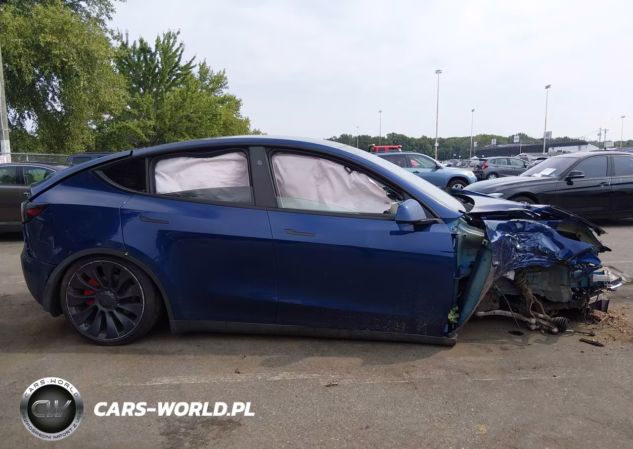 2024 Tesla Model Y Performance Dual Motor All-Wheel Drive VIN:7SAYGDEF5RF047349 - 11