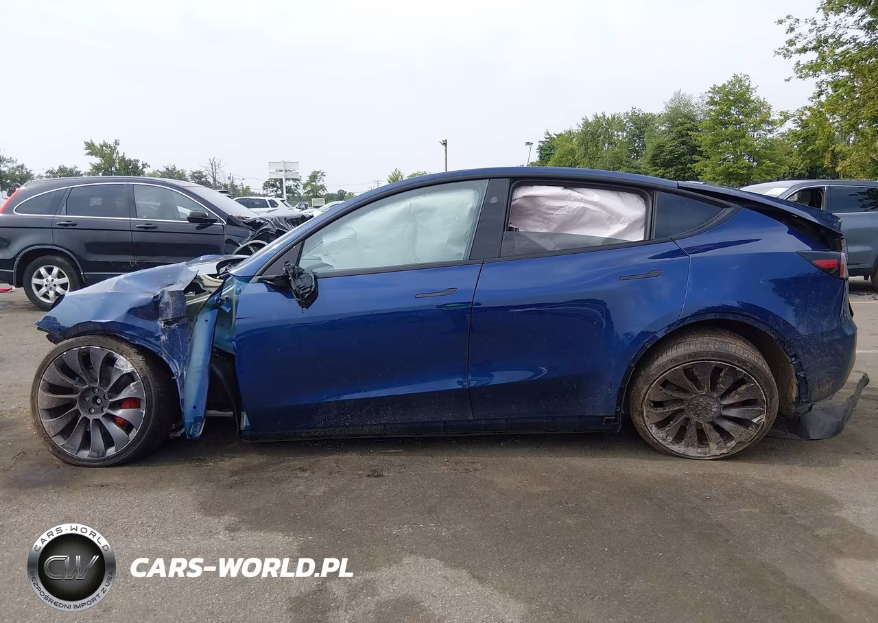 2024 Tesla Model Y Performance Dual Motor All-Wheel Drive VIN:7SAYGDEF5RF047349 - 12