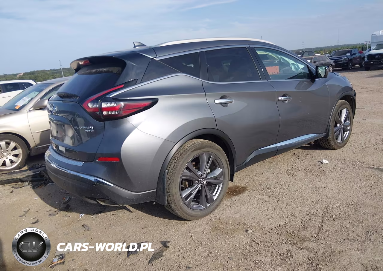 2020 Nissan Murano Platinum Intelligent Awd VIN:5N1AZ2DS0LN161131 - 4