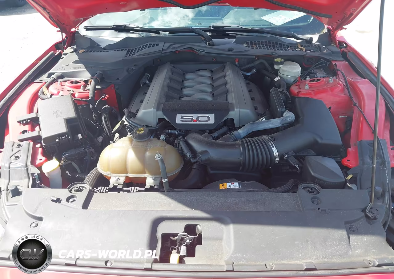 2015 Ford Mustang Gt Premium VIN:1FA6P8CF3F5357517 - 10