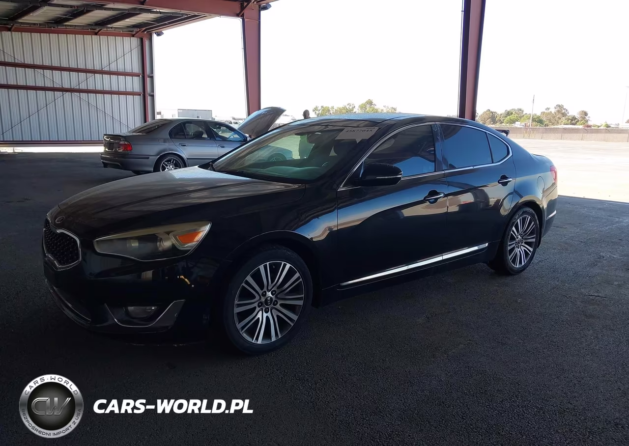 2014 Kia Cadenza Premium VIN:KNALN4D74E5146941 - 2