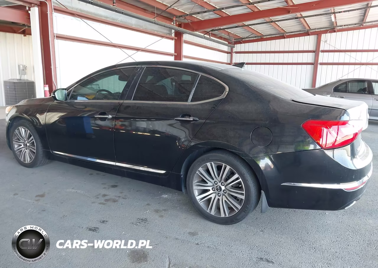 2014 Kia Cadenza Premium VIN:KNALN4D74E5146941 - 6
