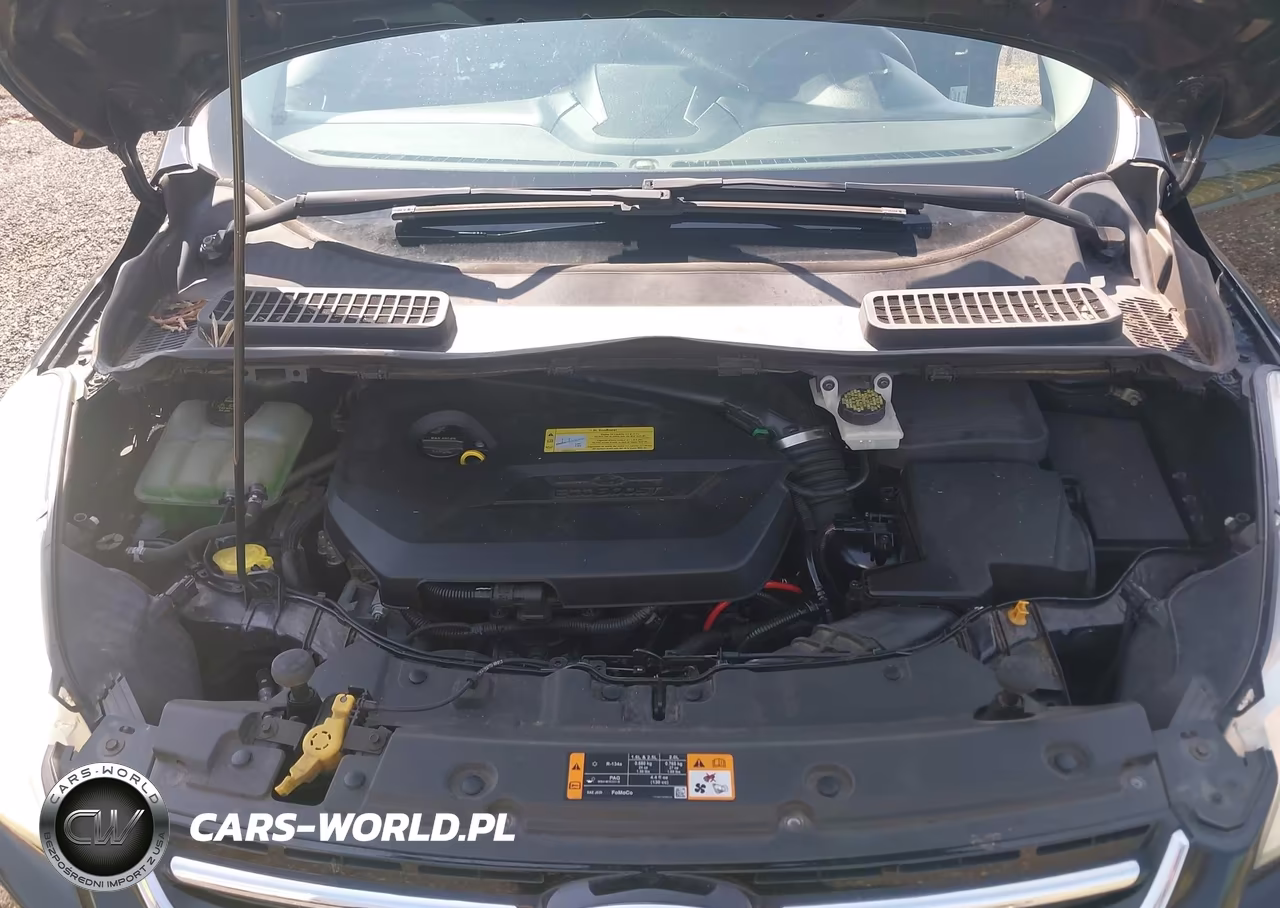 2013 Ford Escape Sel VIN:1FMCU0HXXDUD11920 - 10