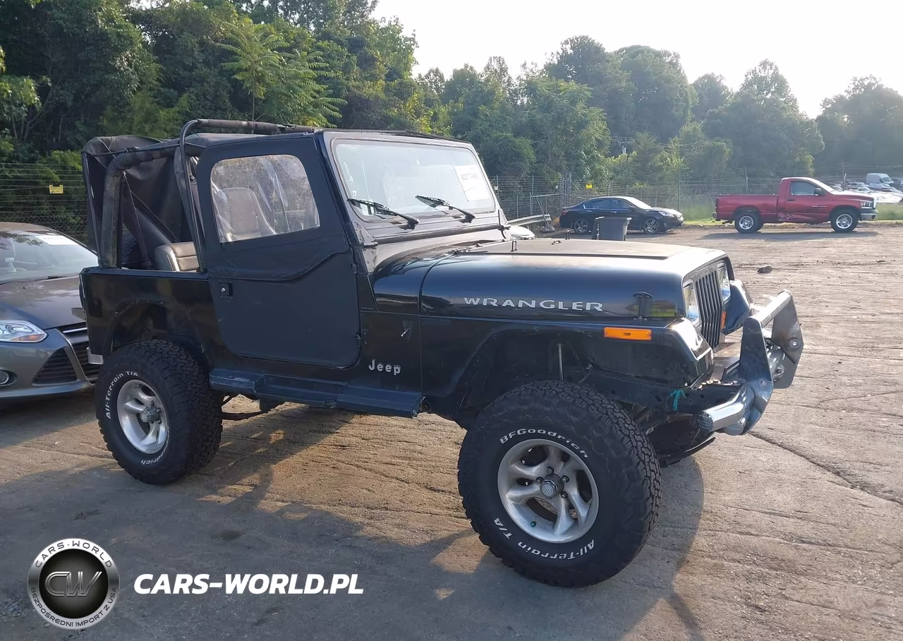 1995 Jeep Wrangler - Yj S-Rio Grande VIN:1J4FY19P6SP267575 - 13