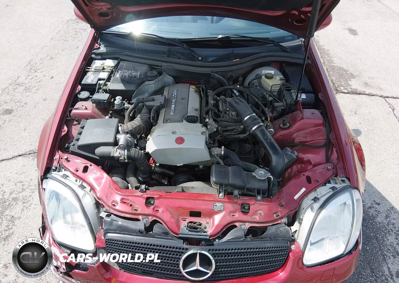 1999 Mercedes-Benz Slk 230 Kompressor VIN:WDBKK47F0XF116812 - 10