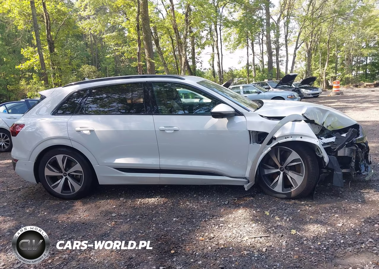 2024 Audi Q8 E-Tron Premium Plus Quattro VIN:WA15AAGE3RB030681 - 13