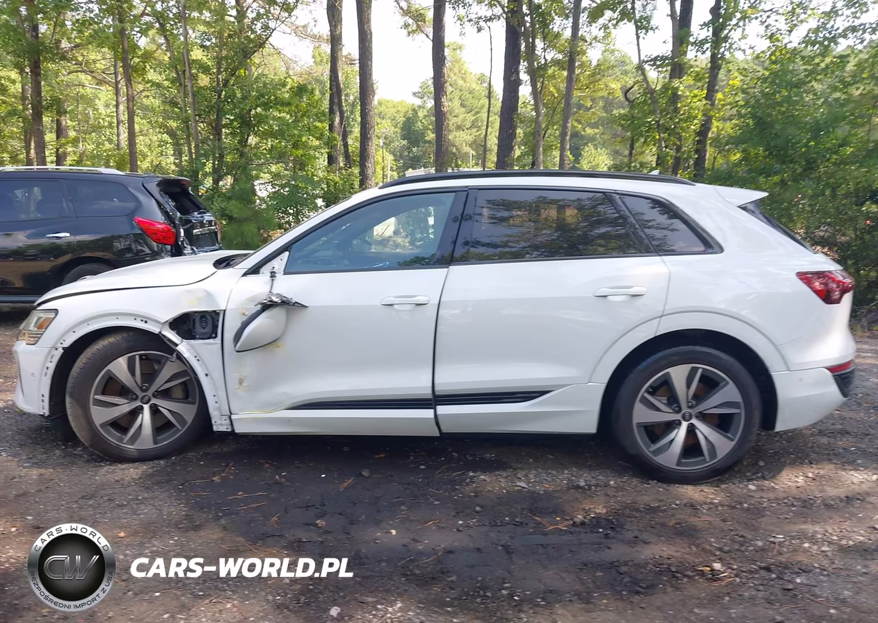 2024 Audi Q8 E-Tron Premium Plus Quattro VIN:WA15AAGE3RB030681 - 14