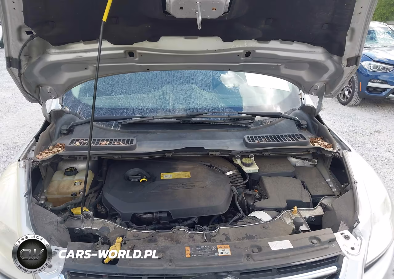 2013 Ford Escape Sel VIN:1FMCU9HX1DUB98315 - 10