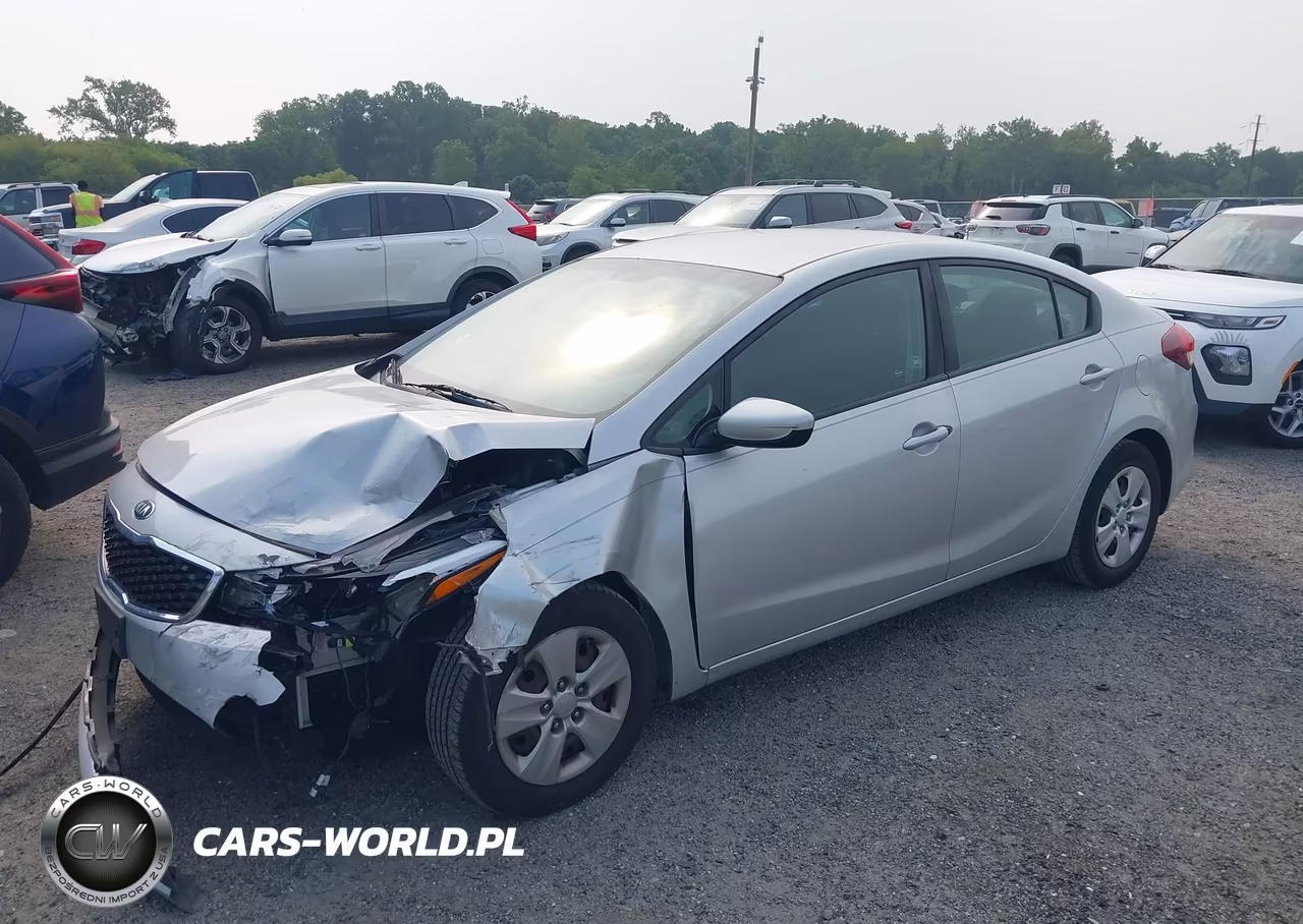 2017 Kia Forte Lx VIN:3KPFK4A74HE125867 - 2