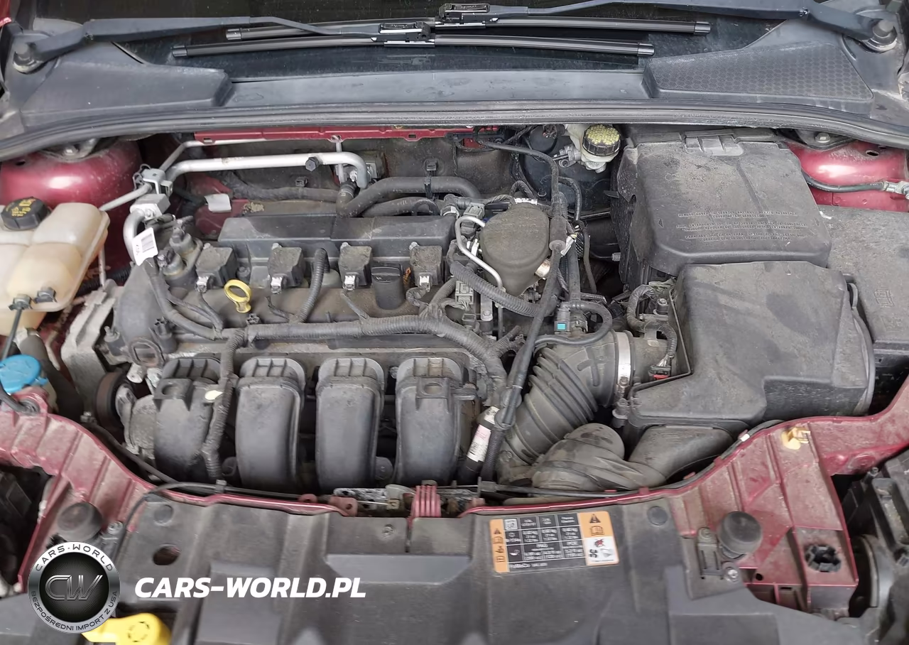 2015 Ford Focus Se VIN:1FADP3F25FL258907 - 10