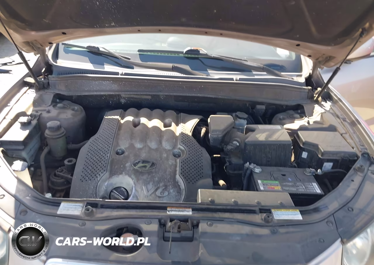 2007 Hyundai Santa Fe Gls VIN:5NMSG13D67H060965 - 10