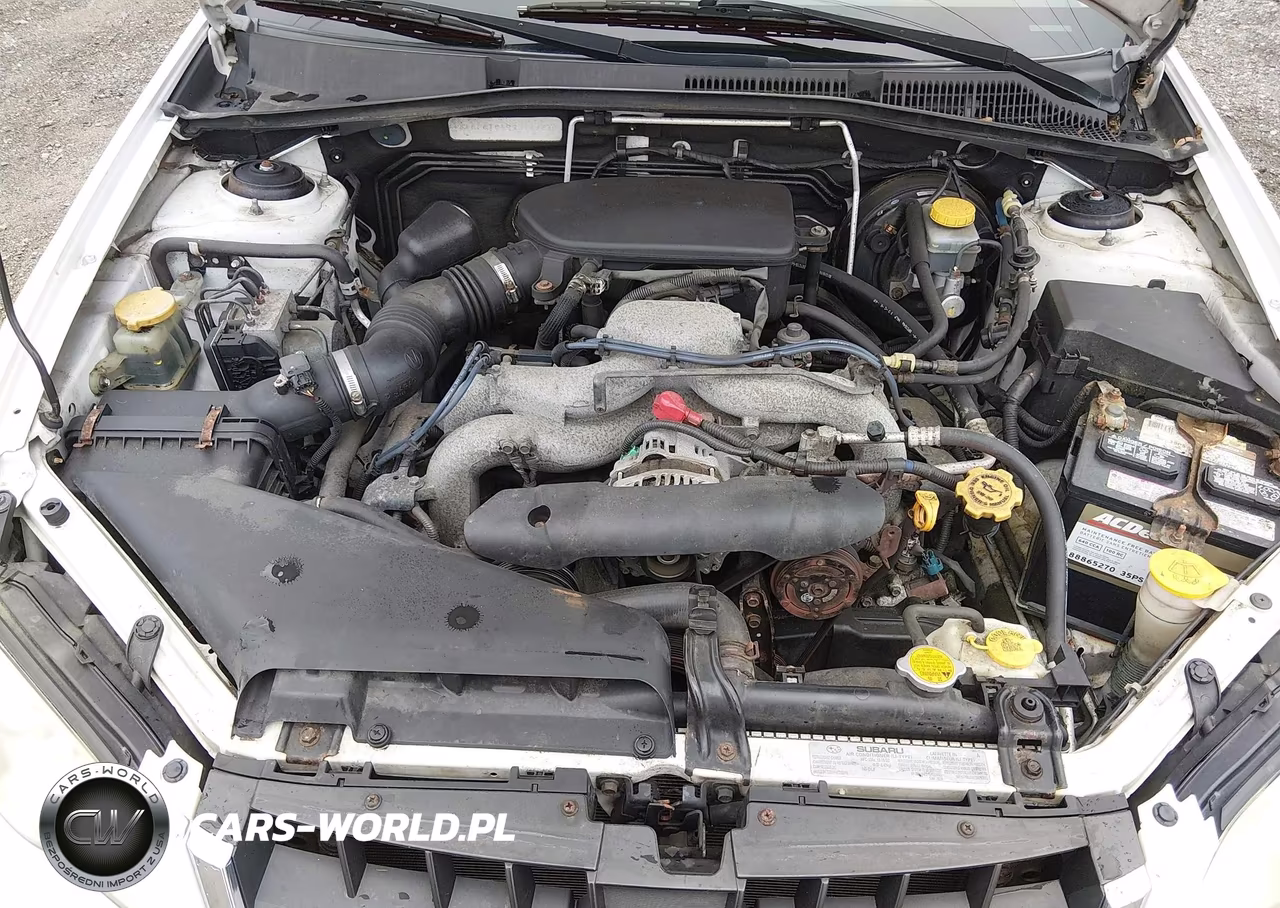 2009 Subaru Outback 2.5I VIN:4S4BP61C497314184 - 10
