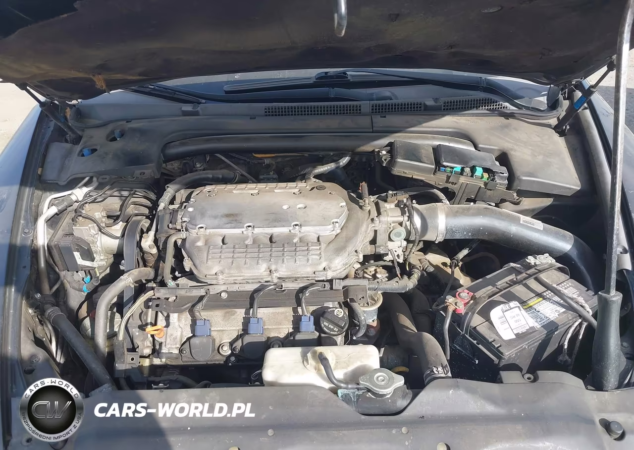 2007 Acura Tl Type S VIN:19UUA766X7A045231 - 10