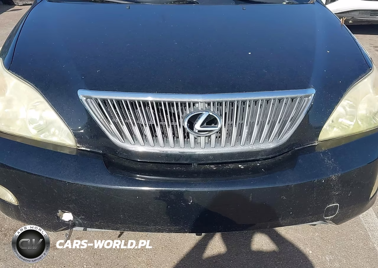 2004 Lexus Rx 330 VIN:JTJGA31U940017929 - 6