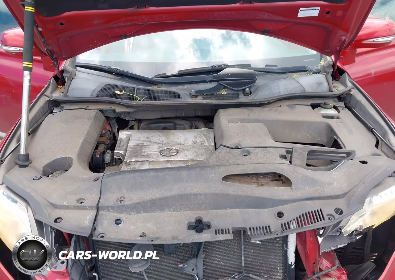 2010 Lexus Rx 350 VIN:JTJZK1BA4A2400143 - 10